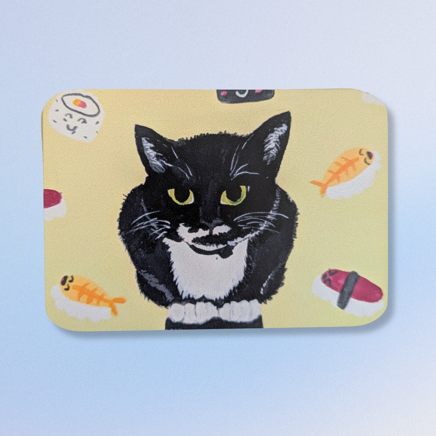 Cat Magnets
