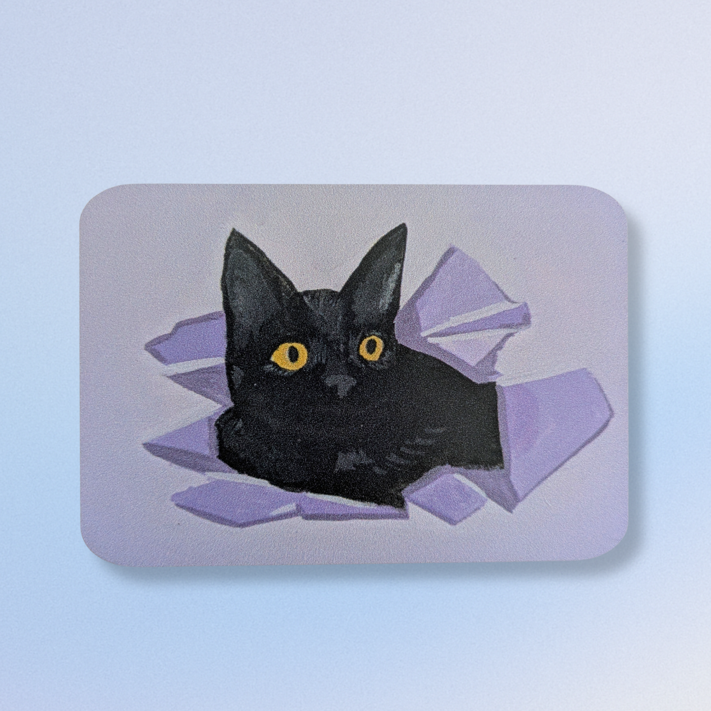 Cat Magnets