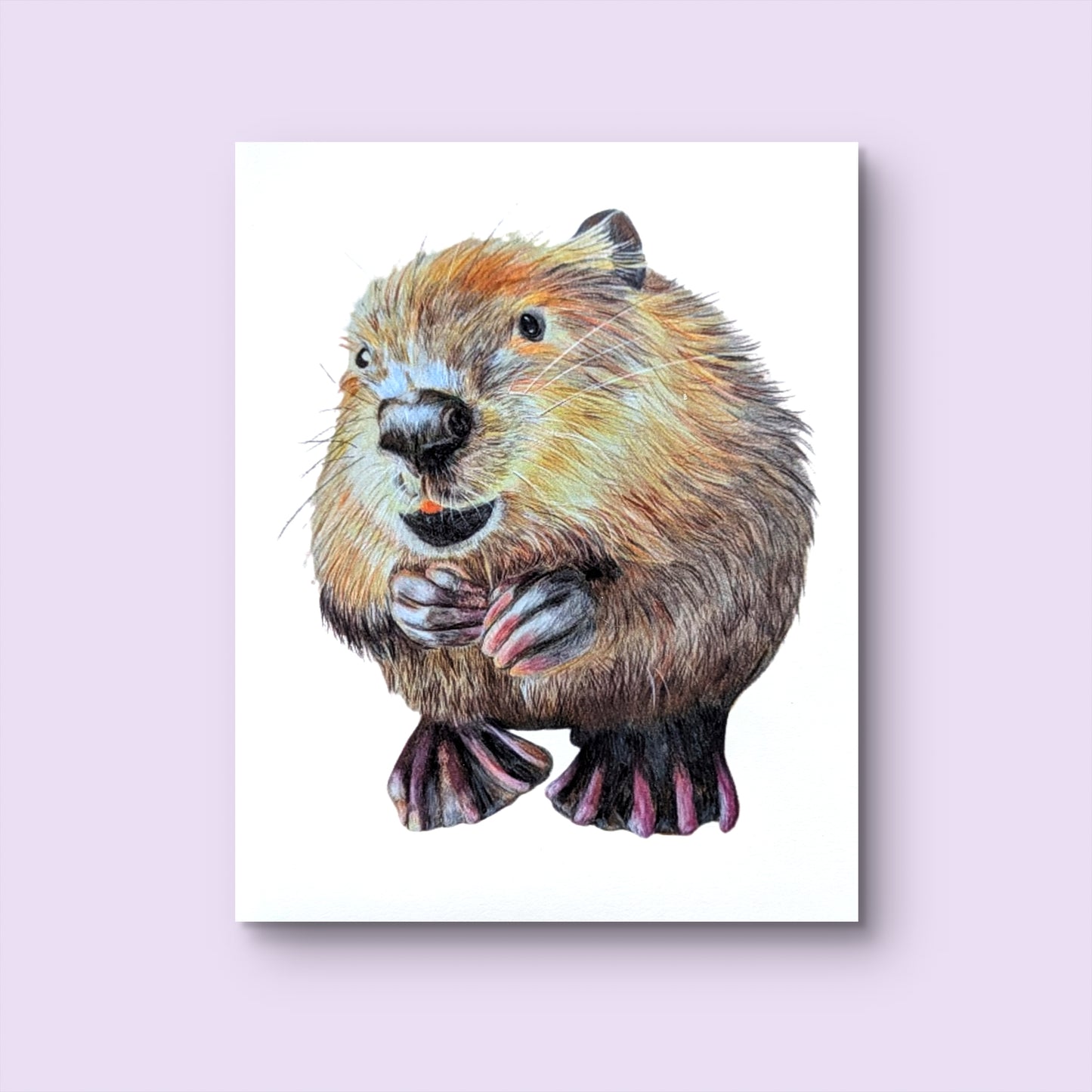 Beaver Print