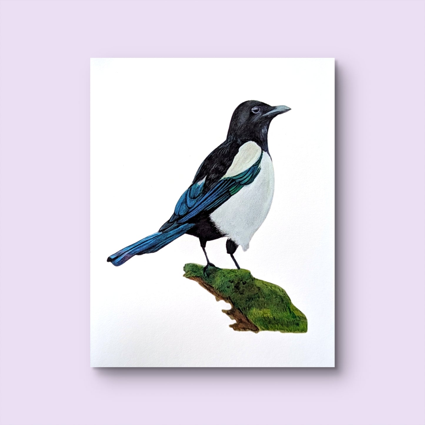 Magpie Print