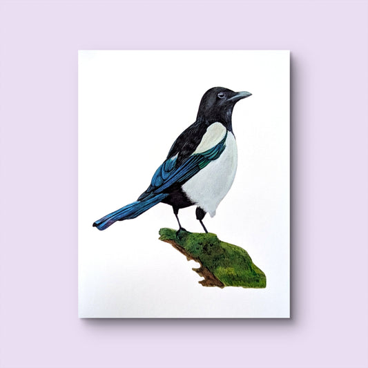 Magpie Print