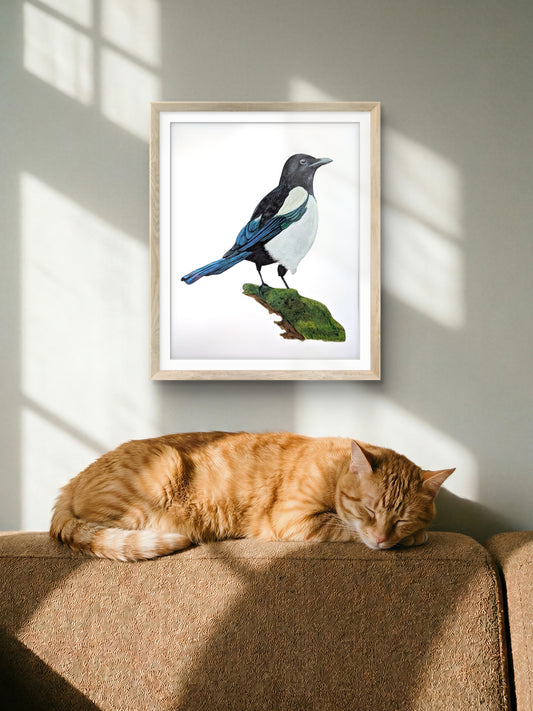 Magpie Print