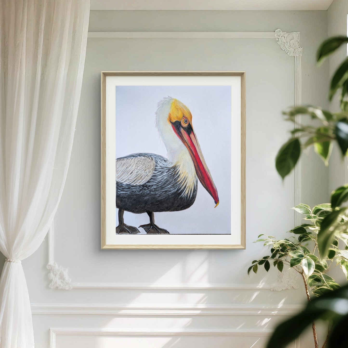 Pelican Original Coloured Pencil Portrait