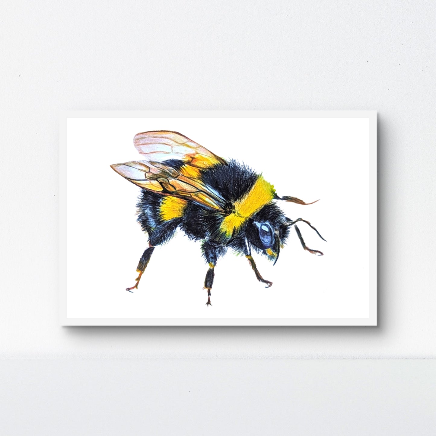 Honey Bee Print