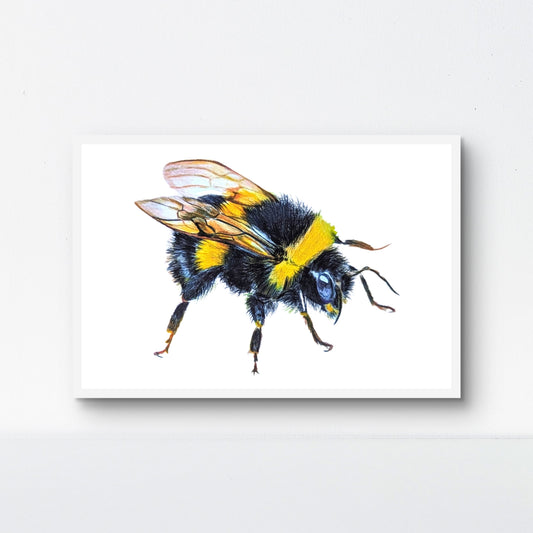 Honey Bee Print